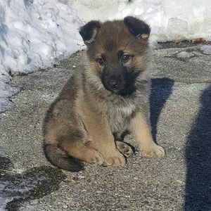 Meet your Posher, Terry